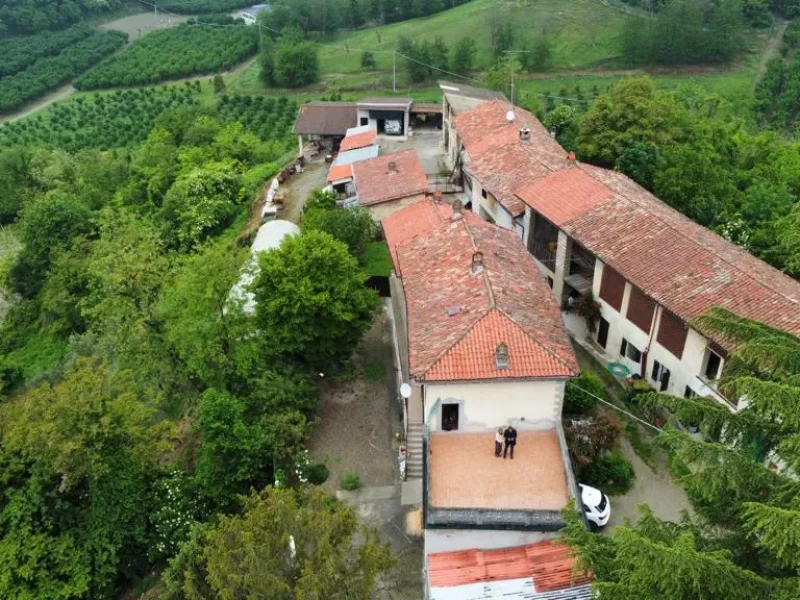 azienda agricola guazzotti vini