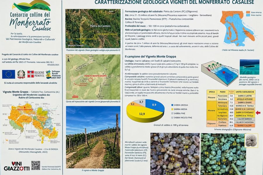 morfologia territorio casalese